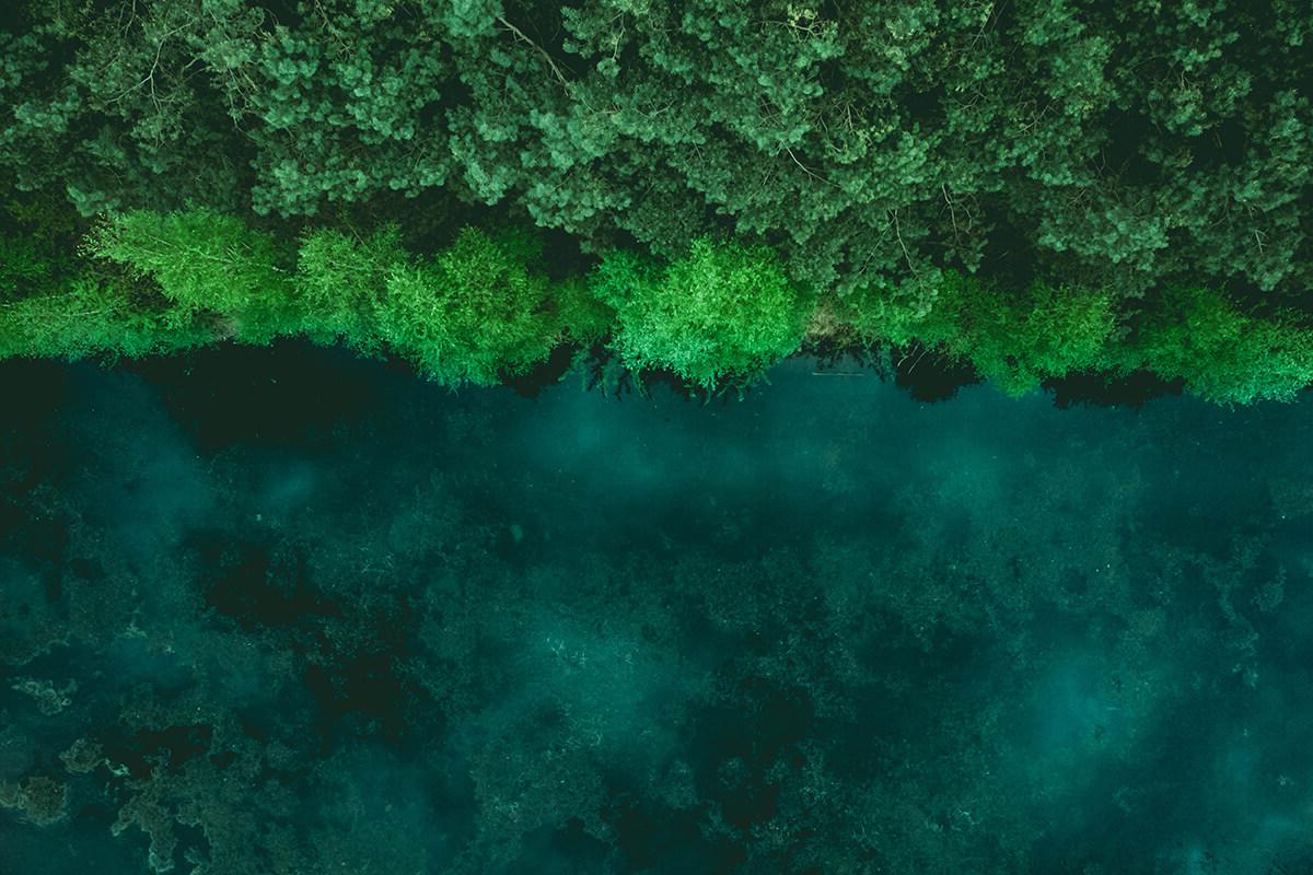 Bird's eye view of a dark green river with lighter green treetops on the bank. Shown horizontally with the river on the bottom half of the image and trees on the top half